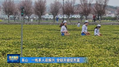 英山：一线茶人话振兴 全链升级促共富