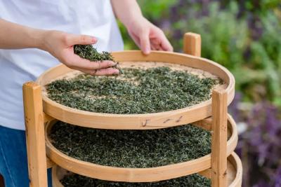 科技文化双轮驱动鄂茶由大向强