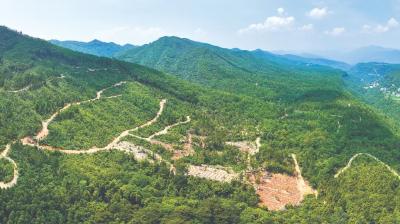 为公平竞争立规矩——黄冈市健全公平竞争审查机制服务全国统一大市场建设