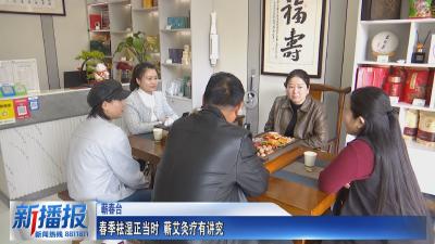 生活小贴士｜春季祛湿正当时 蕲艾灸疗有讲究