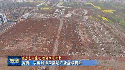 聚力支点建设 推进项目攻坚｜ 黄梅：以区域协同撬动产业能级提升