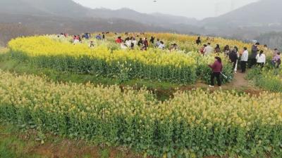 花漾黄冈｜ 浠水：一步一景 处处生花