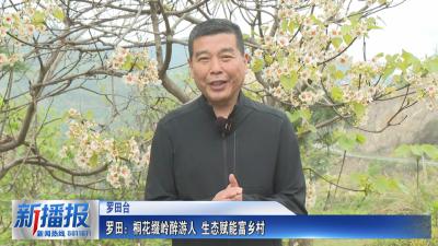 春约黄冈丨 罗田：桐花缀岭醉游人 生态赋能富乡村