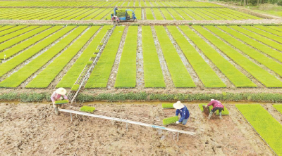 田间耕耘忙 不负好春光