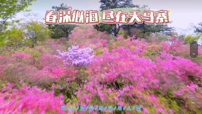 用1分钟在英山赢10000元↓↓