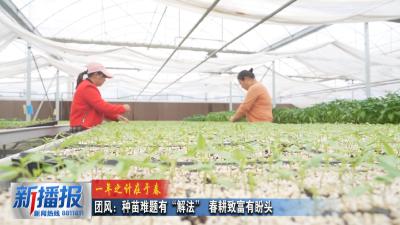 一年之计在于春︳团风：种苗难题有“解法” 春耕致富有盼头