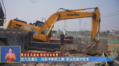 聚力支点建设 推进项目攻坚｜ 武穴北灌区：汛前冲刺抢工期 泵站筑盾护民生