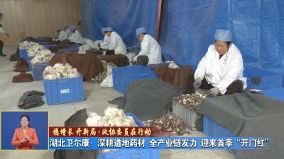 稳增长 开新局 政协委员在行动｜ 湖北卫尔康：深耕道地药材 全产业链发力 迎来首季“开门红”