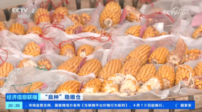 生物育种新技术加速应用 助力“中国粮”用上“中国种”