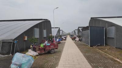 黄州区：推动农产品从“种得好”向“卖得好”升级