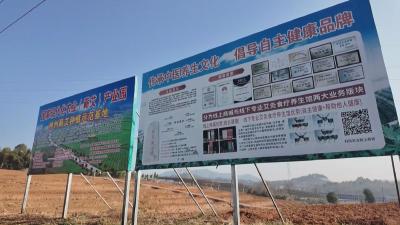 聚力支点建设 推进项目攻坚丨 黄冈：水利“三资”改革激活发展一池春水