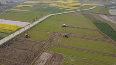 黄州区：春耕备耕正当时  田间地头农事忙