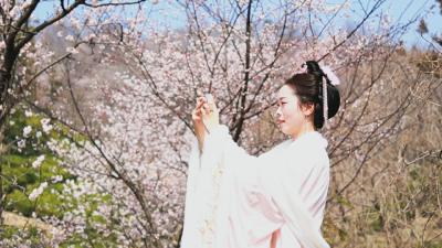 花漾黄冈｜罗田：樱黄叠翠满匡河 春日田园入画来