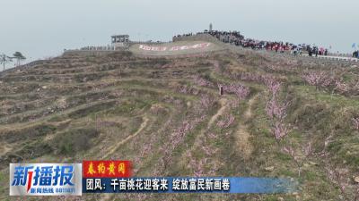 春约黄冈︳团风：千亩桃花迎客来 绽放富民新画卷