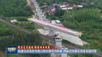 聚力支点建设 推进项目攻坚丨 新建合武高铁大胜山特大桥成功转体 跨麻武铁路实现毫米级对接