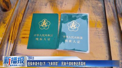 低保申请卡在8万“飞来存款” 民政干部核查还原真相