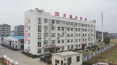 奋进火红五月 礼赞劳动荣光｜湖北大别山药业：实干铸就劳动荣誉 匠心赋能产业发展
