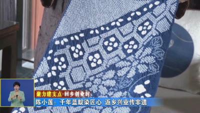 聚力建支点 回乡创业时丨 陈小莲：千年蓝靛染匠心 返乡兴业传非遗