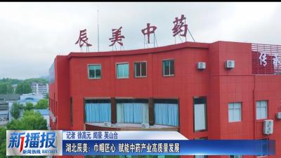 黄冈人黄冈事｜湖北辰美：巾帼匠心 赋能中药产业高质量发展