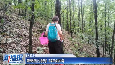 生活小贴士 I 雨季野菇丛生隐患多 不采不食防中毒