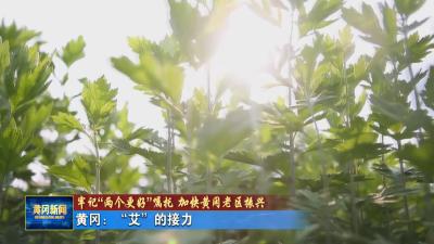 牢记“两个更好”嘱托 加快黄冈老区振兴丨 黄冈：“艾”的接力