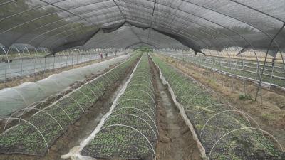 在希望的田野上丨 五月农时好 春耕生产忙