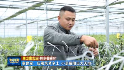 聚力建支点 回乡创业时丨 童建军：归雁筑梦乡土 小蓝莓闯出大天地