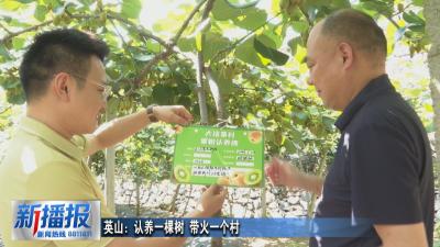 英山：认养一棵树 带火一个村