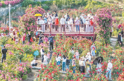 “五一”假期 乡村旅游火热
