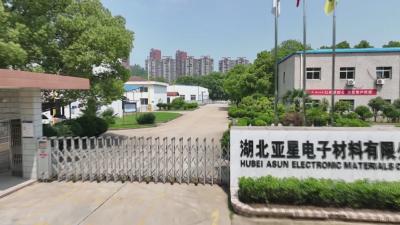 聚力建支点 回乡创业时丨杜红梅：解锁高纯钛 “卡脖子” 突围路