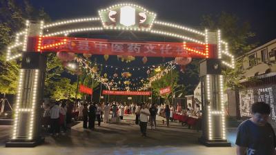 团风：中医药飘香 惠民服务暖民心