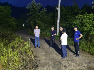 罗田县资规系统全力筑牢汛期地灾安全屏障