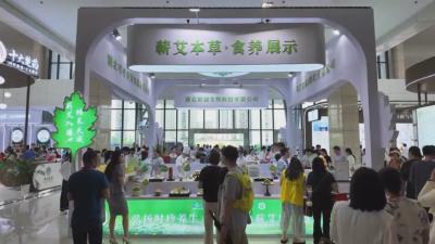 蕲艾从“药用”迈入“食用” 湖北中医药产业打开新空间