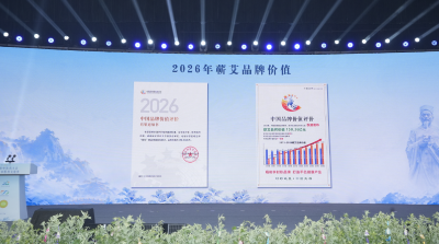 蕲艾品牌价值突破150亿元 实现“十一连升”