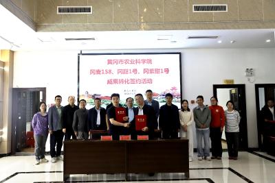 市农科院三项科研成果成功转让 玉米品种转化实现零的突破