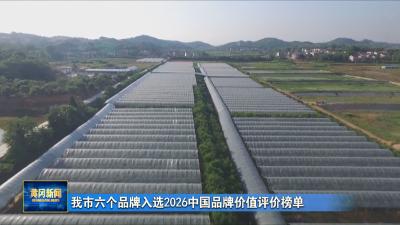 我市六个品牌入选2026中国品牌价值评价榜单