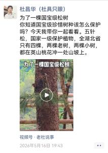  让流量为生命让路——为了四棵松，他亲手删了爆款视频