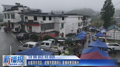 白莲河示范区：赶集节里践初心 直播间里促振兴