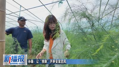 黄冈人黄冈事｜孙薇：让“挑剔”芦笋安家团风