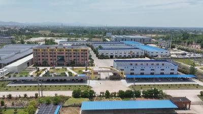 聚力支点建设 推进项目攻坚丨携手智囊团 麻城智造打破国外催化剂垄断