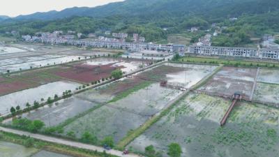 从餐桌到田间 小龙虾带火夏日经济