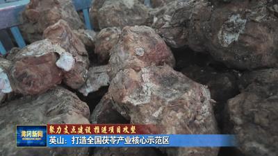 聚力支点建设 推进项目攻坚丨 英山：打造全国茯苓产业核心示范区