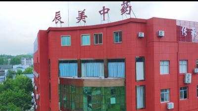 奋进火红五月 礼赞劳动荣光｜湖北辰美：铸就发展强引擎 巾帼班组守初心