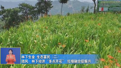 林下生金 生态富民（二）｜ 团风：林下经济“多点开花” 红绿融合促振兴