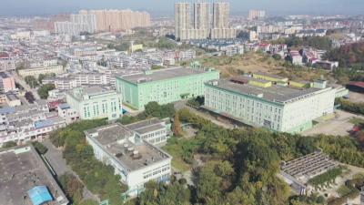 黄冈：构建全链体系 加快建设国家中医药传承创新发展试验区