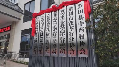 在希望的田野上｜ 罗田：延链补链强链 做强中药材富民产业