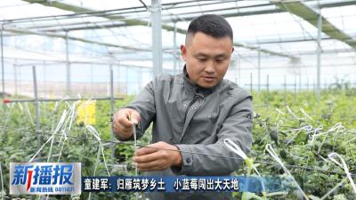 黄冈人黄冈事｜童建军：归雁筑梦乡土  小蓝莓闯出大天地