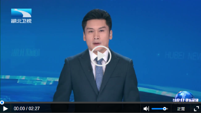 硬核中国上新了 | 湖北这块“海绵” 试样生产 有效破解AI芯片卡顿难题
