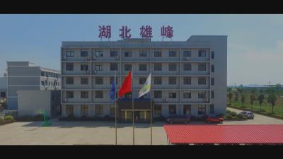 雄峰科技：科创赋能现代农业  产学研融合激活畜牧产业新动能