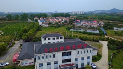 吕迎红：履职尽责守初心  赋能乡村促振兴